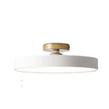 Ryden | Ceiling Mounted Light