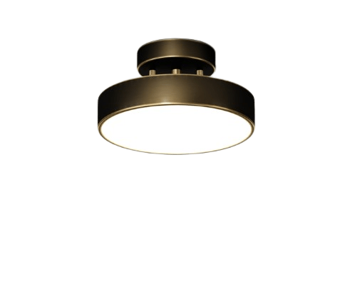 Vernon | Ceiling Mounted Light