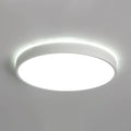 Upleva | 2 Color Ceiling Mounted Light