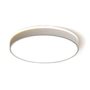 Upleva | 2 Color Ceiling Mounted Light