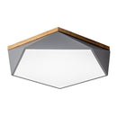 Tundra | 2 Color Ceiling Mounted Light