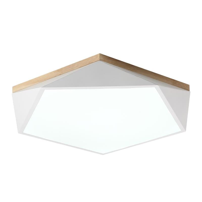 Tundra | 2 Color Ceiling Mounted Light - Home Cartel ®