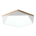 Tundra | 2 Color Ceiling Mounted Light